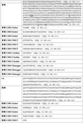 Figure BDA0002328692870000571