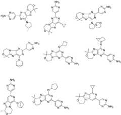 Figure FDA0002486010530000161