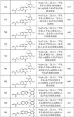 Figure GPA0000263212130002631