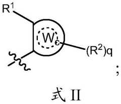 Figure BDA0001937647270002155