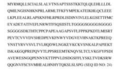 Figure imgf000056_0004