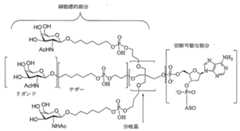 Figure 2023113843000106