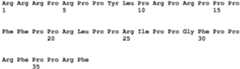 Figure imgb0521