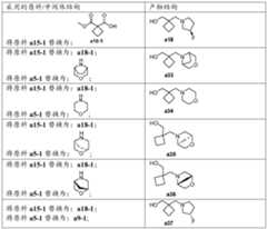 Figure PCTCN2022136857-appb-000028