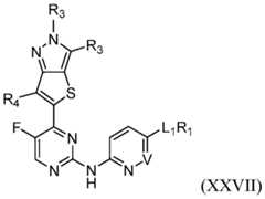 Figure imgf000028_0001
