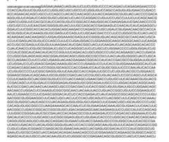 Figure imgf000314_0002