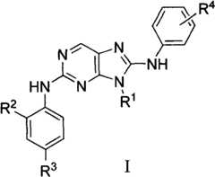 Figure FSA00000117867600011