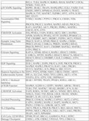 Figure imgf000088_0001