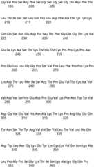 Figure IDA0004177795620000101