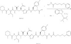 Figure US09943609-20180417-C00372