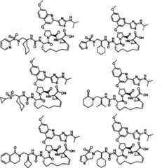 Figure A2004800399470010C1