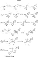 Figure 0007317014000067