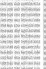 Figure IDA0002536600790001241