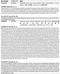 Figure BDA0003206688030000251