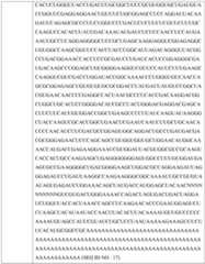 Figure imgf000369_0001