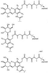 Figure imgf000006_0002