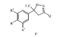 Figure 108125050-A0305-02-0006-11