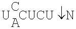 Figure US06180399-20010130-C00010