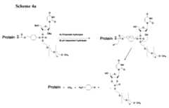 Figure imgf000141_0002