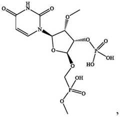 Figure BDA0003702321910000581