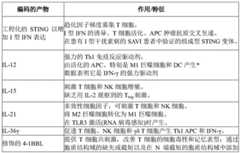 Figure GDA0004138988600000961