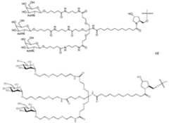Figure imgf000064_0003