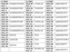 Figure FDA0003148067930000011