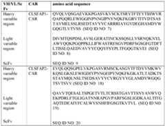 Figure imgf000023_0001