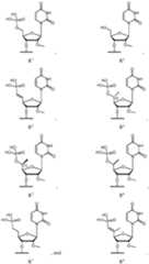 Figure imgf000036_0001