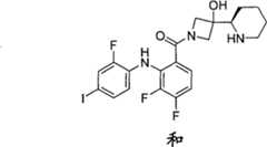 Figure G2007800513551D03931