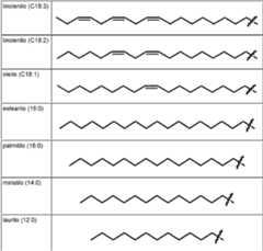 Figure imgf000021_0001