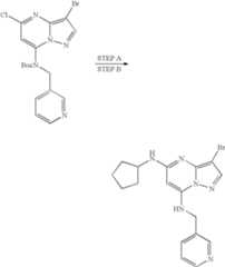 Figure US07119200-20061010-C01675