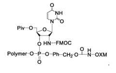Figure imgf000026_0003
