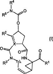 Figure S2006800355619D00031