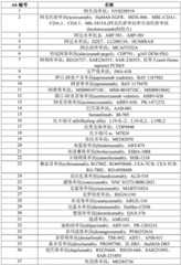 Figure BDA0003535738540000131