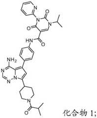 Figure FDA0003907120210000011
