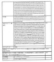 Figure 0007438604000109