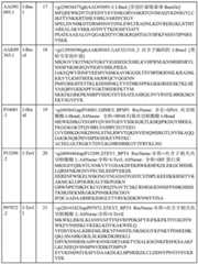 Figure BDA0000429500830000201