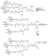 Figure 0007429103000363