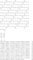 Figure IDA0000079231860001751