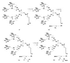 Figure 106103567-A0304-12-0227-216