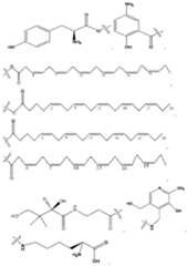 Figure imgf000007_0001