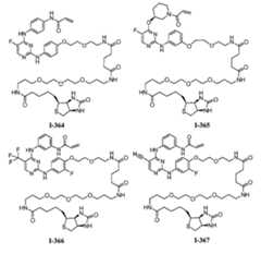 Figure 112016119396583-pat00143