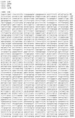 Figure IDA00002091897101421