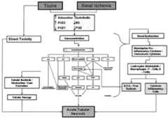 Figure imgf000014_0001