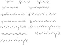 Figure BDA0003027048450001943