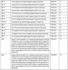 Figure imgf000052_0001