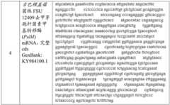 Figure BDA0003676072500000261