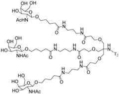 Figure imgf000350_0001