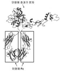 Figure P1020227020222